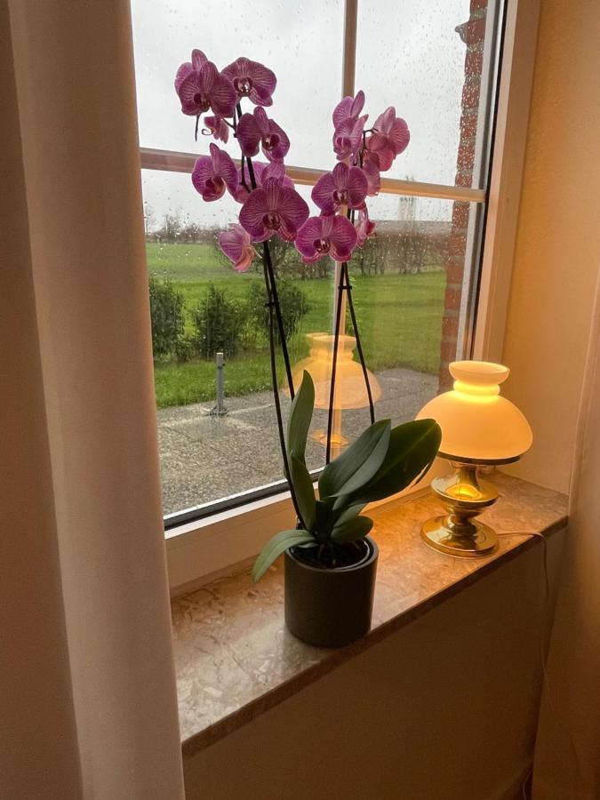 Meine Ferienwohnung Фехмарн Екстериор снимка